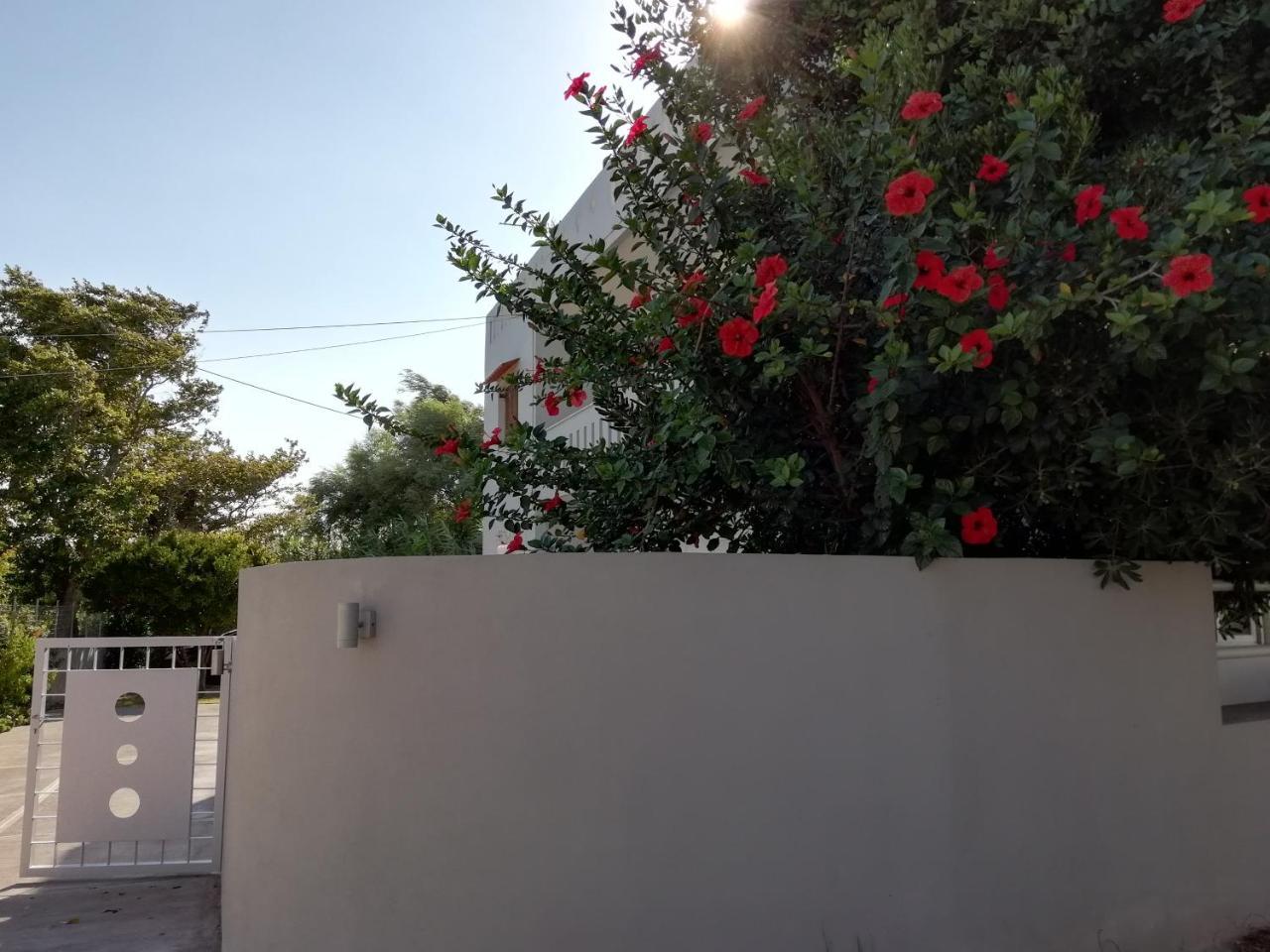 Dimitris' & Valentina'S Home Plakias Exteriör bild